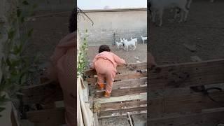 شوفوا وين حصلت حمودي ‼️ #shorts