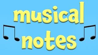 Musical Notes!  Learning about music for Kids