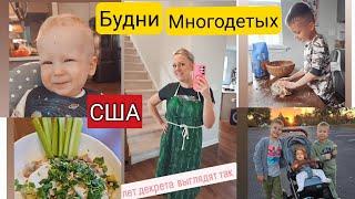 США/Будни многодетной семьи/Наше утро/Завтрак, диета/Весёлые дети/Южная Каролина/Лиса в Америке/Влог