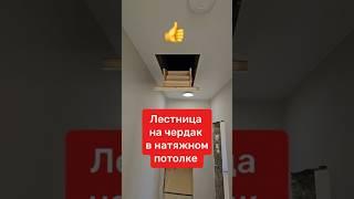 Лестница на ЧЕРДАК для натяжного потолка - обзор! #лестницаначердак