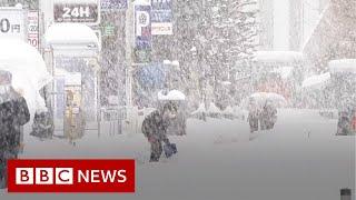 Snow storms bring deadly chaos to Japan - BBC News