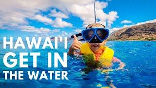 The Oahu Snorkel Tour You Shouldn’t Miss | turtles, dolphins, and everyone can go