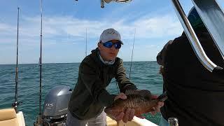 Using StrikeLines fishing charts in Tampa Bay to catch fish