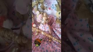 Jai Gopal # hare Krishna 