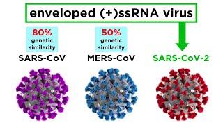 MERS-CoV and SARS-CoV-2 (COVID-19)