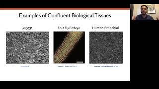 Sadjad Arzash: Rigidity of Epithelial Tissues as a Learning Problem