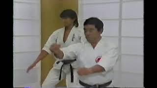 Karate Lesson by Fumio Demura 1986