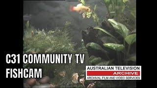 Melbourne's 'Fishcam' on Channel 31 Community Television - Can You Believe This Existed?