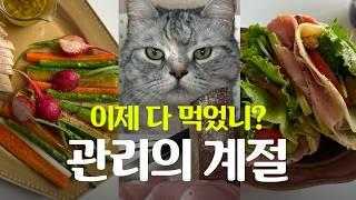 관리의 계절- 광고 없음, 클린 식단 템, 팁 대방출 / 피타브레드 샌드위치 / 피부 진정 쿨링팩