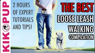 The ABSOLUTE BEST compilation of LOOSE LEASH WALKING TUTORIALS