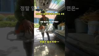 S746. 기능공 소멸~ 이제 집은 누가 짓고 고치냐? 전국구 세종코아컷팅 장경화 #폐업지원금 #카페철거 #디월트 #힐티  #코아 #철거견적 #상가철거 #원상복구 #콘크리트컷팅