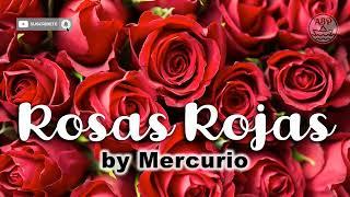 Rosas Rojas part2