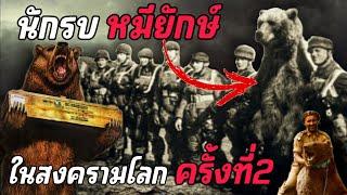 นักรบหมียักษ์ ในสงครามโลกครั้งที่ 2