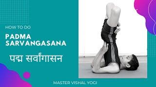 How to do Padma Sarvangasana ( पद्म सर्वांग आसन ) Master Vishal Yoga