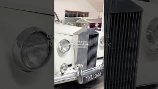 come with me to a Rolls Royce classic car collection #rollsroycecar #vintagecars