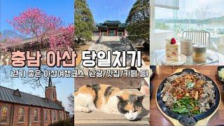 당일치기 국내여행 : 걷기 좋은 아산 여행코스! 충남가볼만한곳 (가족나들이/아산맛집/아산카페) #가족여행지추천