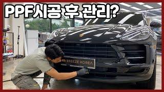 궁금하셨죠!? 전체PPF시공하셨다면 이렇게 하시면 됩니다 | 포르쉐 마칸