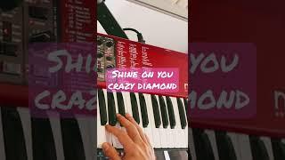 Shine on you crazy diamond Pink Floyd on nord lead 4 synth