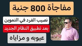 مفاجأة 800 جنية - نصيب الفرد في التموين بعد تطبيق النظام الجديد - عيوبه و مزاياه