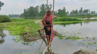 জমির জল শুকিয়ে গেছে তাই হেনচি শাক তুলতে গেলাম//কথা মনি আজকে কত বড় মাছের মাথা  খেল