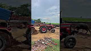 #tatar #tatarvideo #shorts #viral #massey #masseyvideo #masseylover #jat #jaat #jaat jamidar