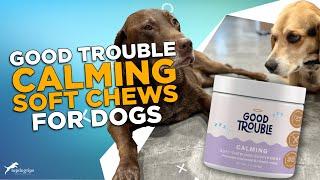 Review: Good Trouble Calming Soft Chews for Dogs