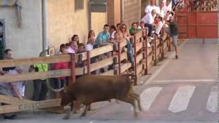 toro rompe barrera, saca la valla y casi escapa, Funes Navarra. Suscríbete al canal