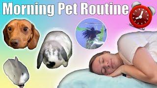 MORNING PET ROUTINE: Morning Routine with 8 Pets | Rabbits, Hamster, Dachshunds, and Betta Fish