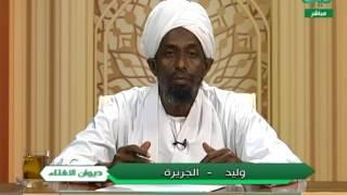 ديوان الإفتاء 188 : الشيخ د. علاء الدين الزاكي