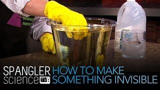 How To Make Something Invisible - Cool Science Experiment