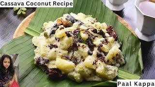 Paal Kappa Recipe  | Cassava Coconut Recipe Kerala Style