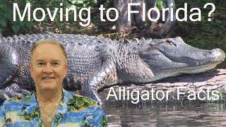 Moving to Florida | Living with Alligators