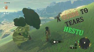 A Guide To Tears: Hestu Location