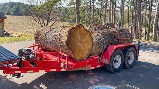 Could There be Something Great in these Old White Oak Logs?