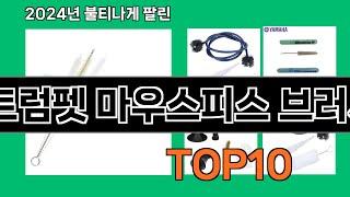 트럼펫 마우스피스 브러시 2024 최강 쿠팡로켓배송 추천 Top 5