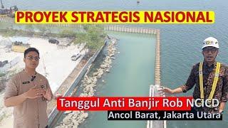 DAHSYAT! PROGRES Proyek Tanggul NCICD Ancol: Terpancang 365 Batang Spon Pile dari Total 855 Batang