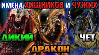 Какие имена у Хищников и Чужих [ОБЪЕКТ] Names of Predators and Aliens