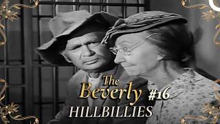 The Beverly Hillbillies - Special Part 16 | Classic Hollywood TV Series