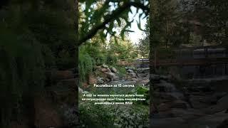 Школа ландшафтного дизайна ВИД — обучение с нуля и повышение квалификации. Ссылка в профиле️