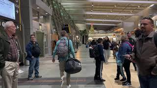 San Diego International Airport Complete Walkthrough - December 2022