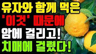 유자와 절대로 함께 먹지마세요! 암과 치매에 걸릴 수 있습니다! 유자 함께 먹으면 보약보다 좋은 3가지 만성염증 독소 싹 사라지는 레시피 [유자 청 차 식초 장수 효능 건강 정보]