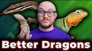 You DON'T Want a Bearded Dragon! 5 BETTER Beardie Alternatives!