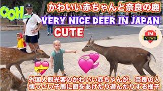 かわいい赤ちゃんと奈良の鹿 | Nara Park deer in japan | Nara deer | Travel to japan