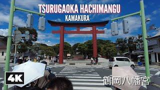 Exploring Tsurugaoka Hachimangu Shrine ️ || Kamakura, Kanagawa [4K] Ambient Walk