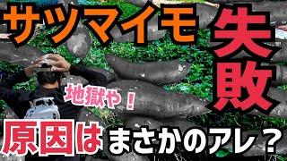 [衝撃] さつまいも収穫していくはずがとんでもない事に！コレ絶対にやっちゃダメ！マネしちゃダメですよ！てか普通しないか？