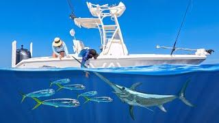 The Story Fishermen Don't want to tell.. Swordfish & Mahi in the Bay Boat