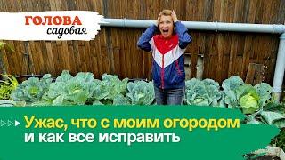 Голова садовая - Ужас, что с моим огородом и как все исправить