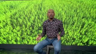 LET'S BE BLUNT WITH MONTEL