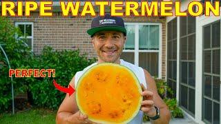 The SECRET To Picking A Ripe Watermelon EVERY Time!