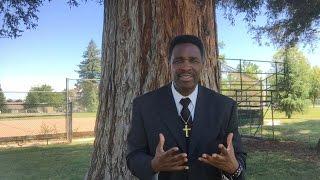 Godlikeness Pt. 2 - Rev. David J. Dill